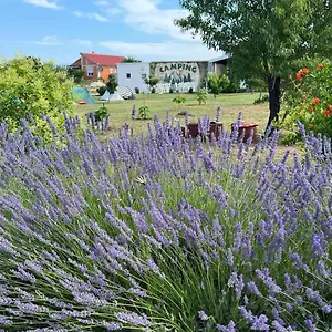 camping-laste.hotelinzadar.com/